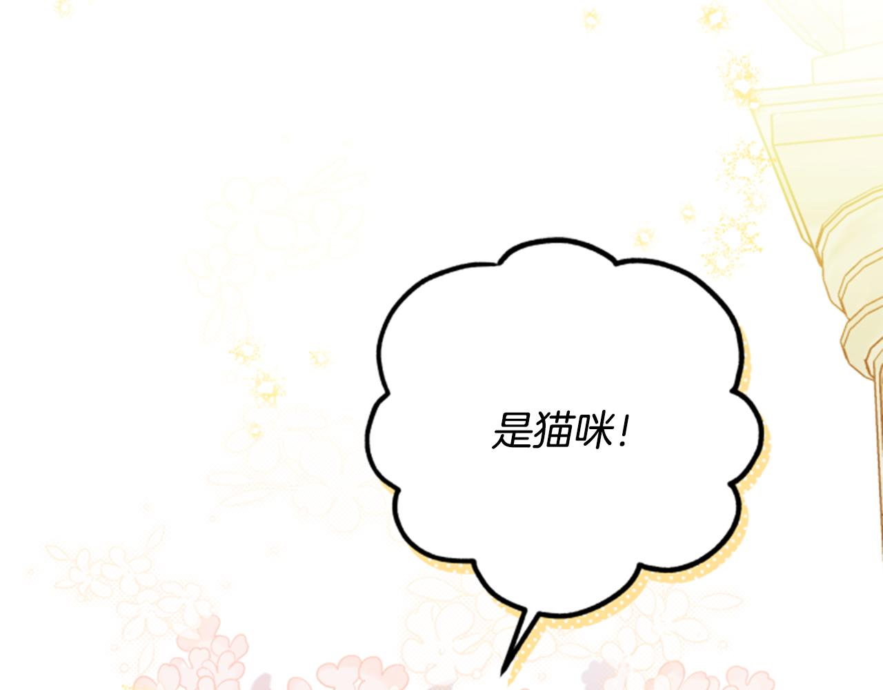 第54话 猫咪朋友4