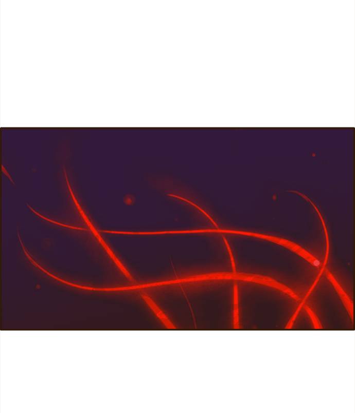 [第11话] 独特能力1