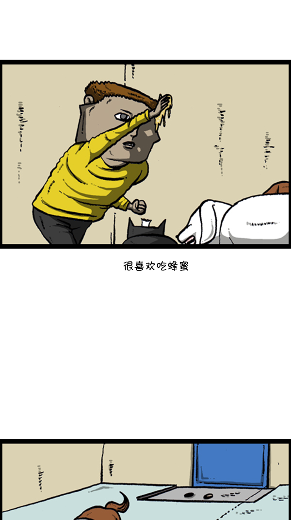 [第278话] 角斗士2