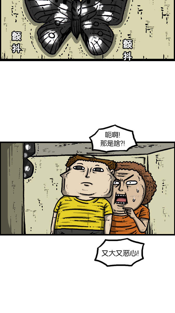 [第173话] 黑珠绢蝶3