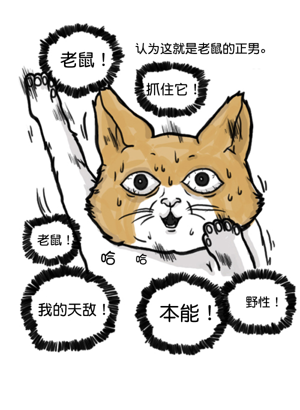 补充篇 [372话] 金正男的娱乐2