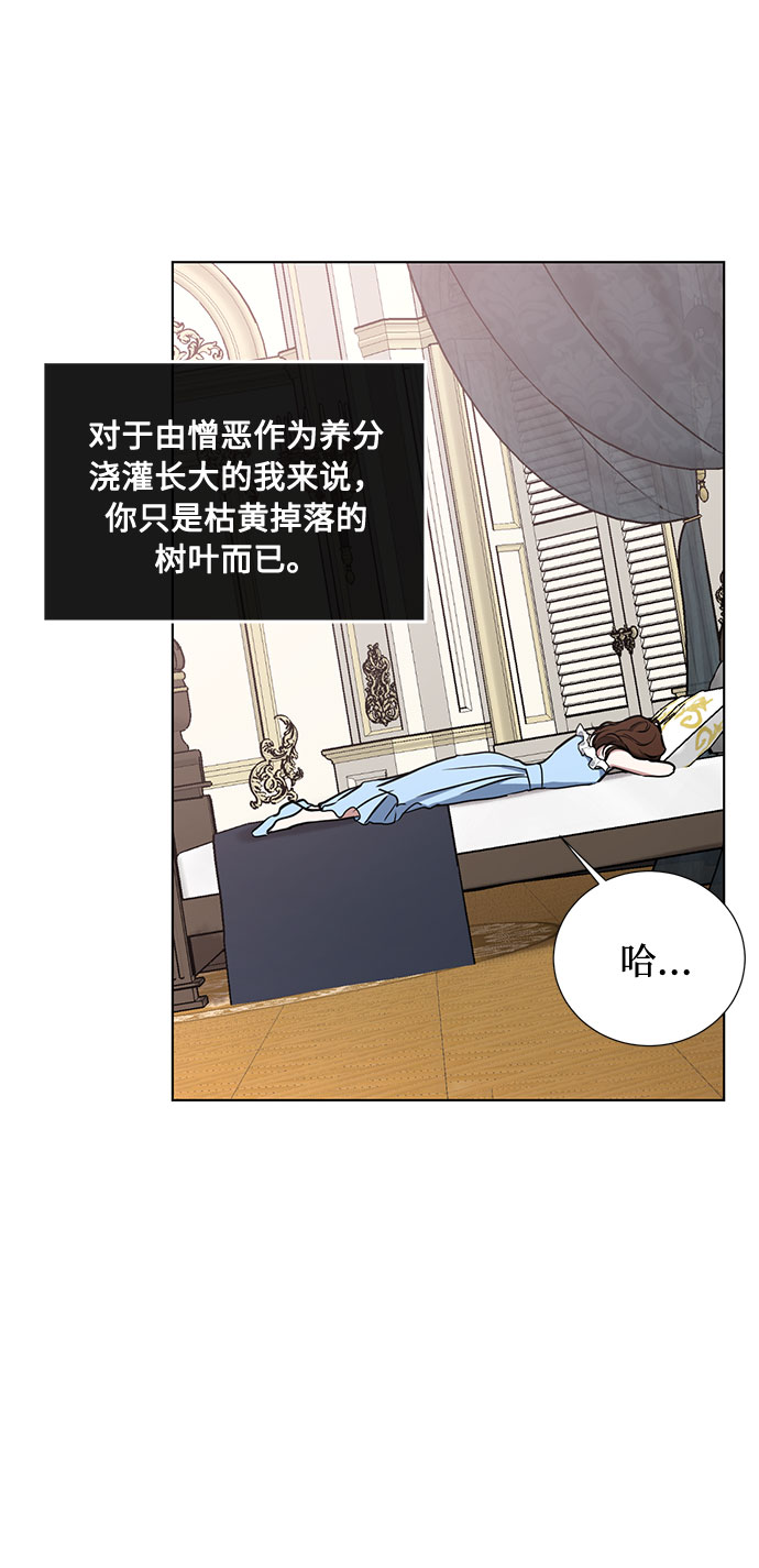 第41话 如果这是命运的指引（1）0