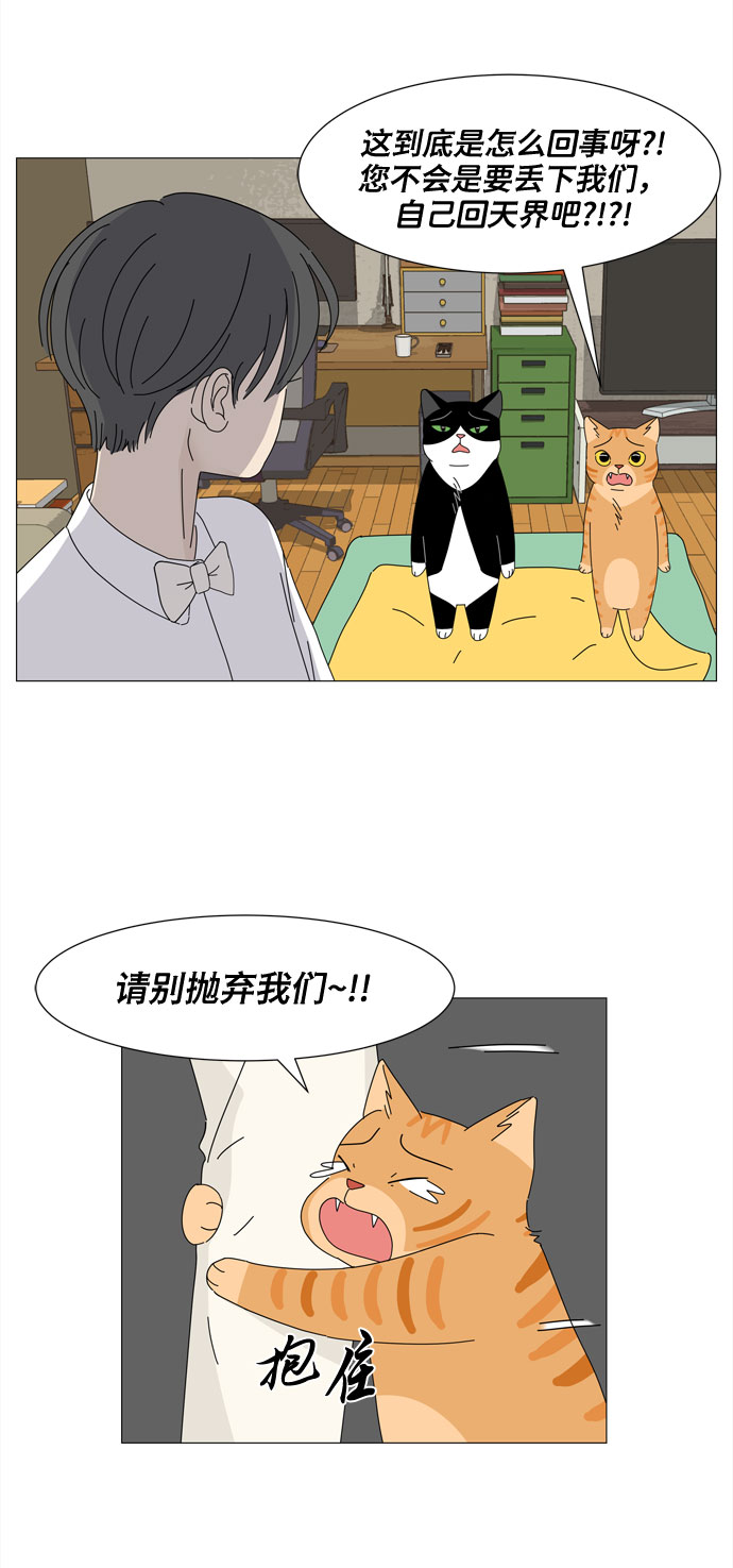 第4话 天使们的星星3