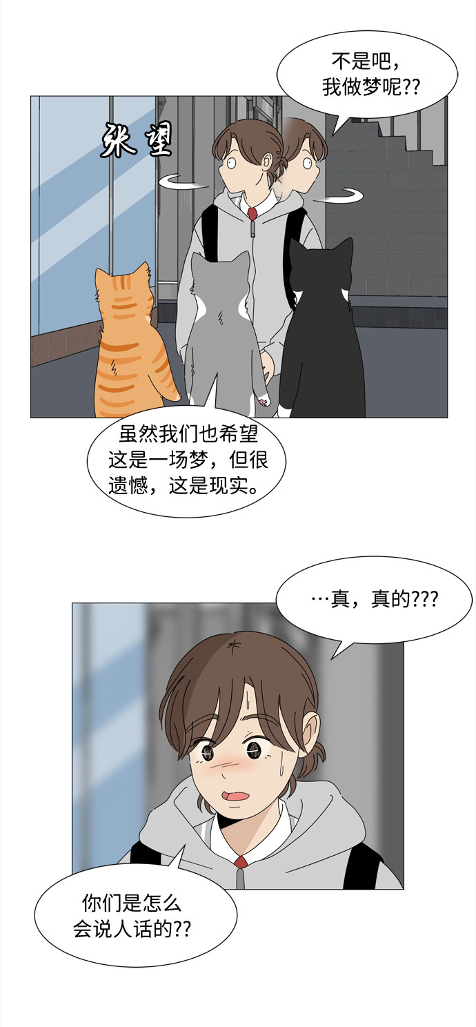 第2话 只要可爱都是小天使4