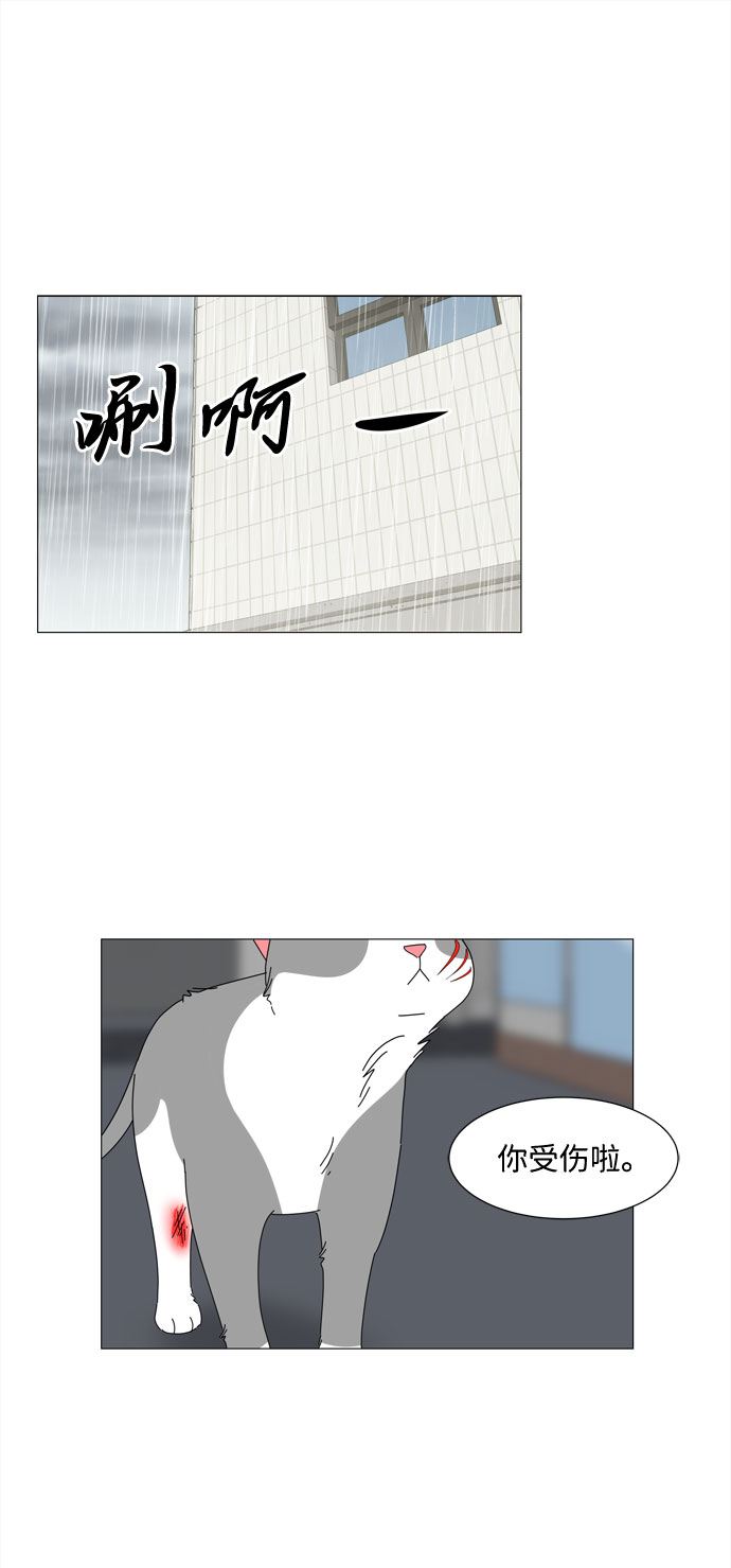 第2话 只要可爱都是小天使1